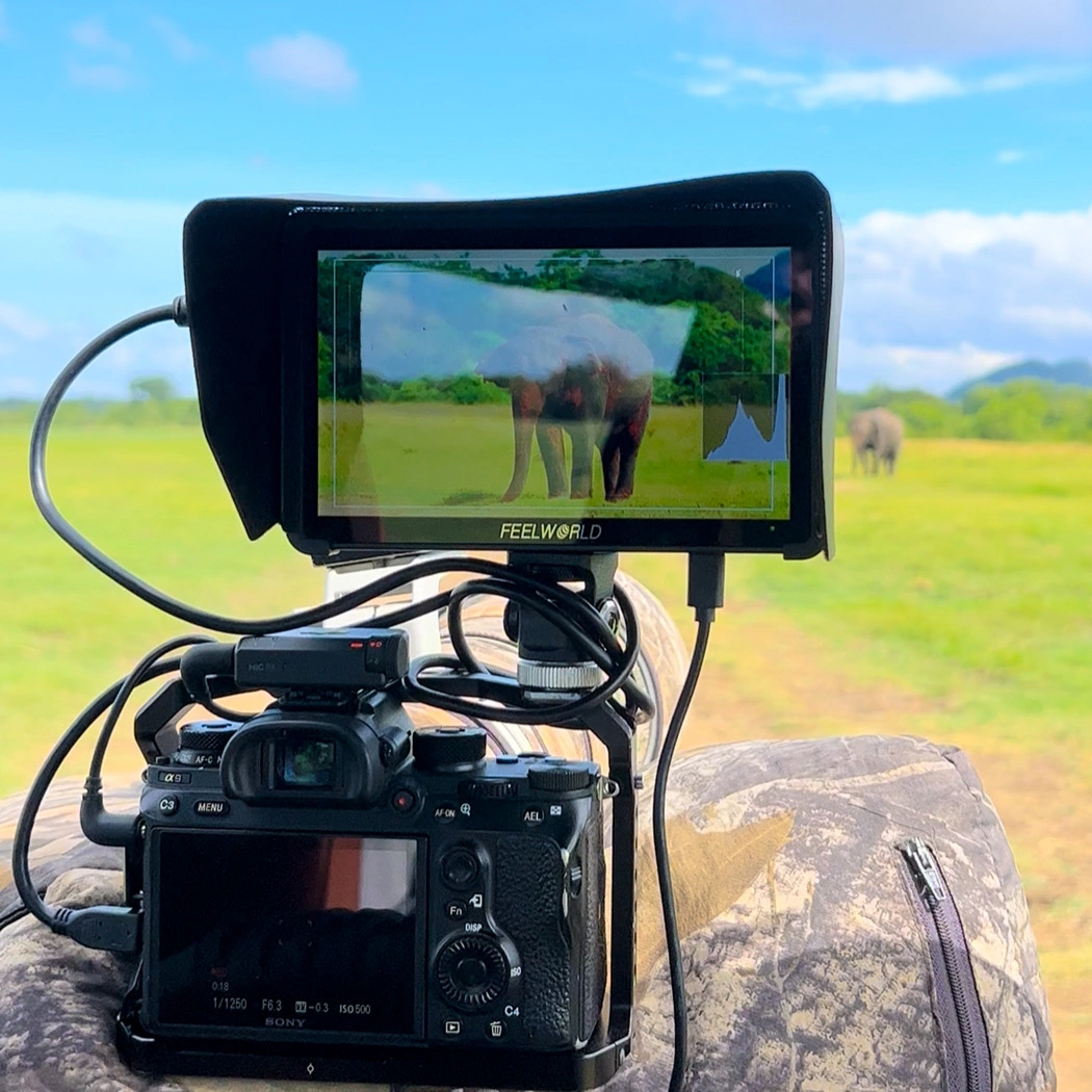 Filming Crew Guided Elephant Safari photo 2